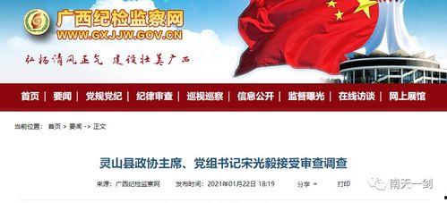 钦州爆料新闻最新消息,详情揭晓”  第1张